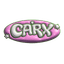 CarX Projects